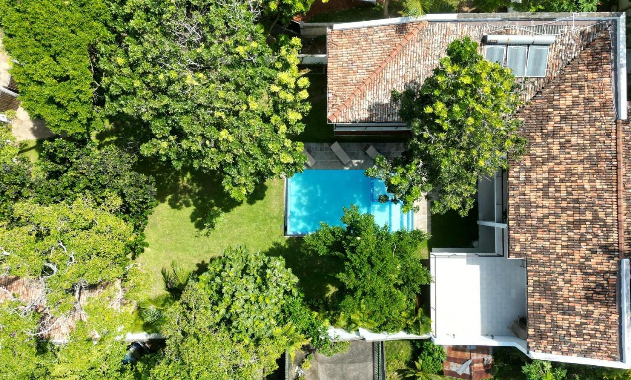 Villa Fauna Ахангама Екстериор снимка